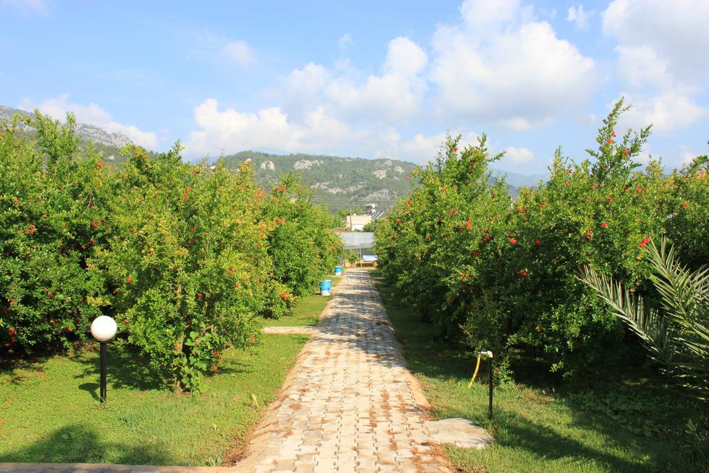 Yildiz Pension Bungalows Çıralı エクステリア 写真