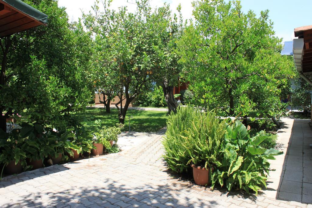 Yildiz Pension Bungalows Çıralı エクステリア 写真