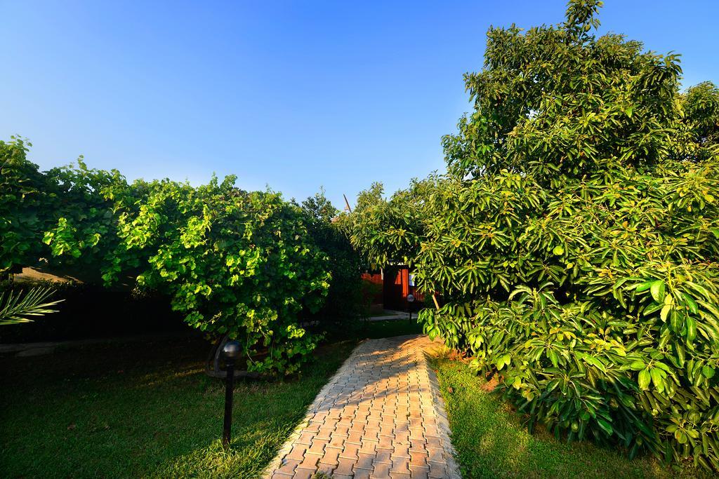 Yildiz Pension Bungalows Çıralı エクステリア 写真