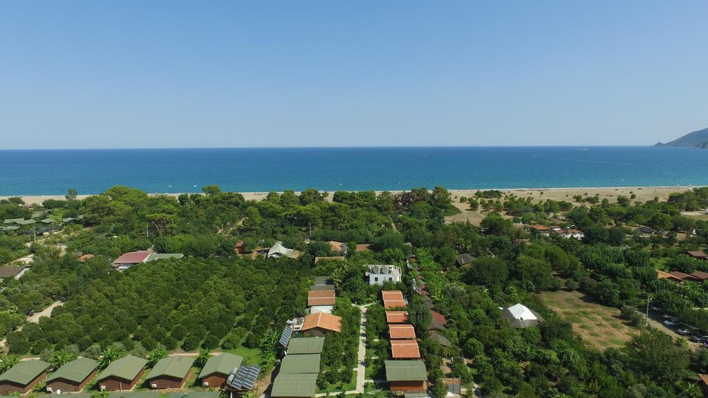 Yildiz Pension Bungalows Çıralı エクステリア 写真