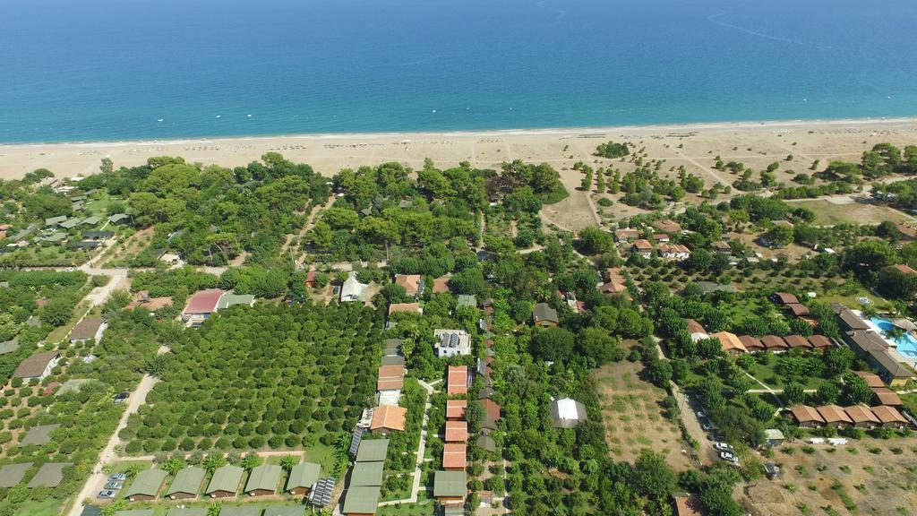 Yildiz Pension Bungalows Çıralı エクステリア 写真
