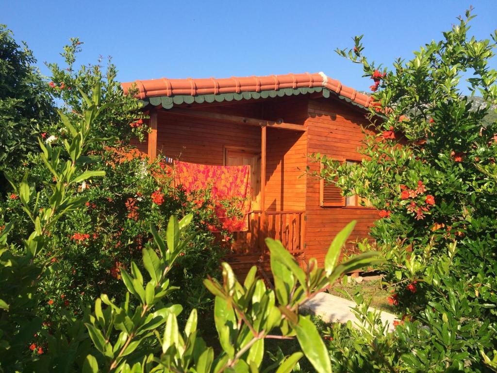 Yildiz Pension Bungalows Çıralı 部屋 写真