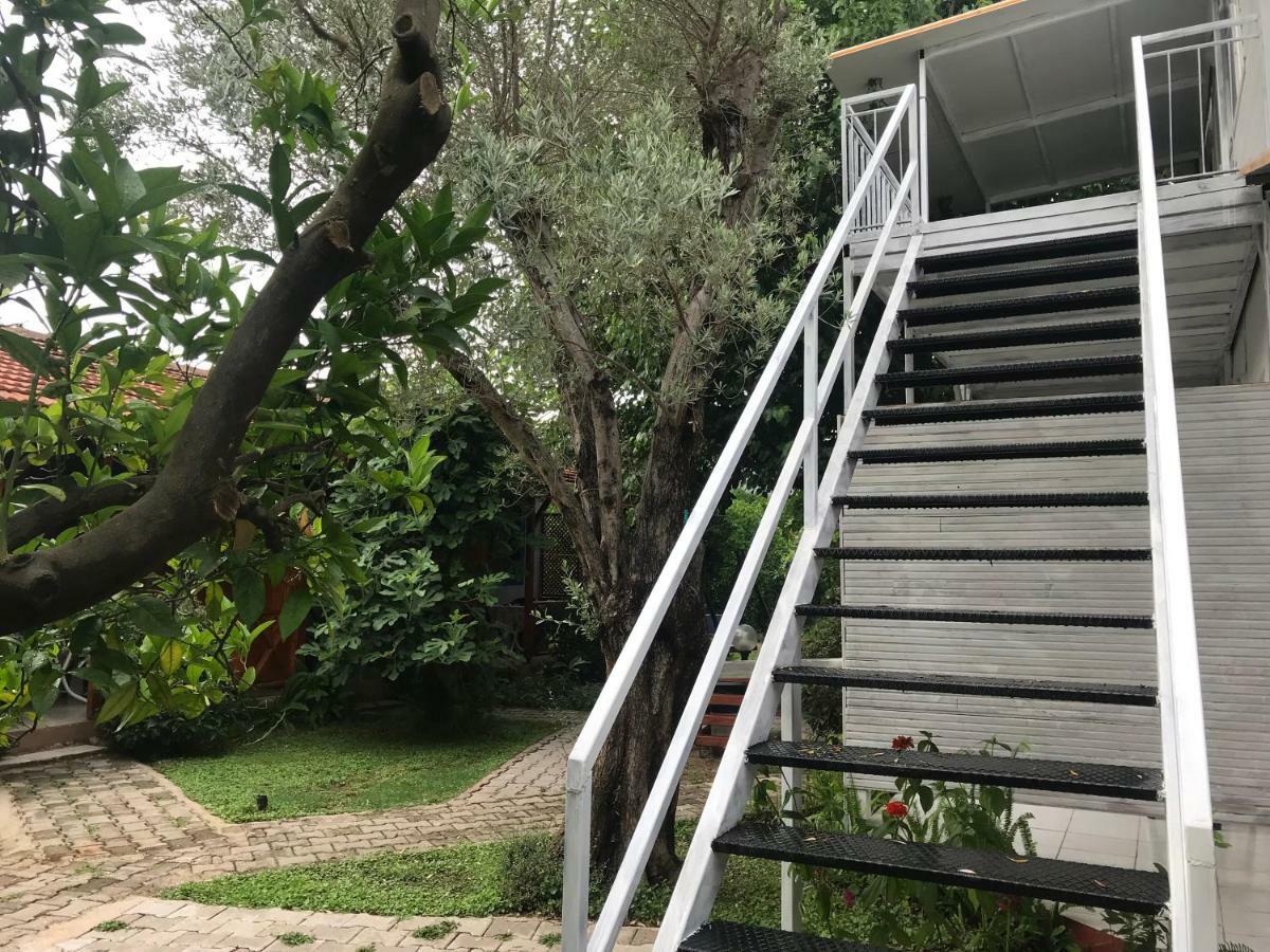 Yildiz Pension Bungalows Çıralı エクステリア 写真